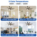 60" DC Motor 8 Blades Modern Downrod Mount Ceiling Fan with LED Light and Remote Control