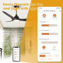 52" DC Motor 3 Blades Modern Downrod Mount Smart Fan with LED Light