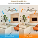 65" Modern Brushed Nickel DC Motor Downrod Mount Reversible Ceiling Fan with Lighting and Remote Control
