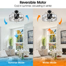 23" Modern DC Motor Downrod Mount Reversible Fandelier Ceiling Fan with Lighting and Remote Control