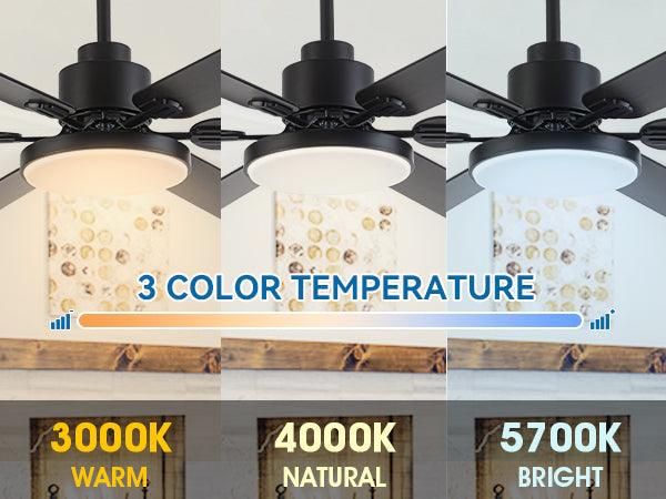 60" Industrial DC Motor Downrod Mount Reversible Ceiling Fan with Lighting and Remote Control