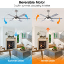 60" Lucknow Modern Ceiling Fan with Lighting and Remote Control
