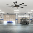 65 Inch Teresa Modern Double-sided Blades Ceiling Fan with Remote Control and LED Light