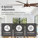65" Fury Farmhouse DC Motor Downrod Mount Ceiling Fan with Lighting and Remote Control