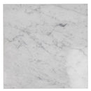 White 12x12 Polished Field Bianco Carrara Marble Tile (10 pack, 10 sq ft/case) by Apollo Tile