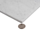 White 12x24 Polished Field Bianco Carrara Marble Tile (5 pack, 10 sq ft/case)