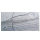 White Gray 12x24 Honed Field Marble Tile (5 pack, 10 sq ft/case) - Sample