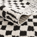 Leryn Black & White Checkered Area Rug