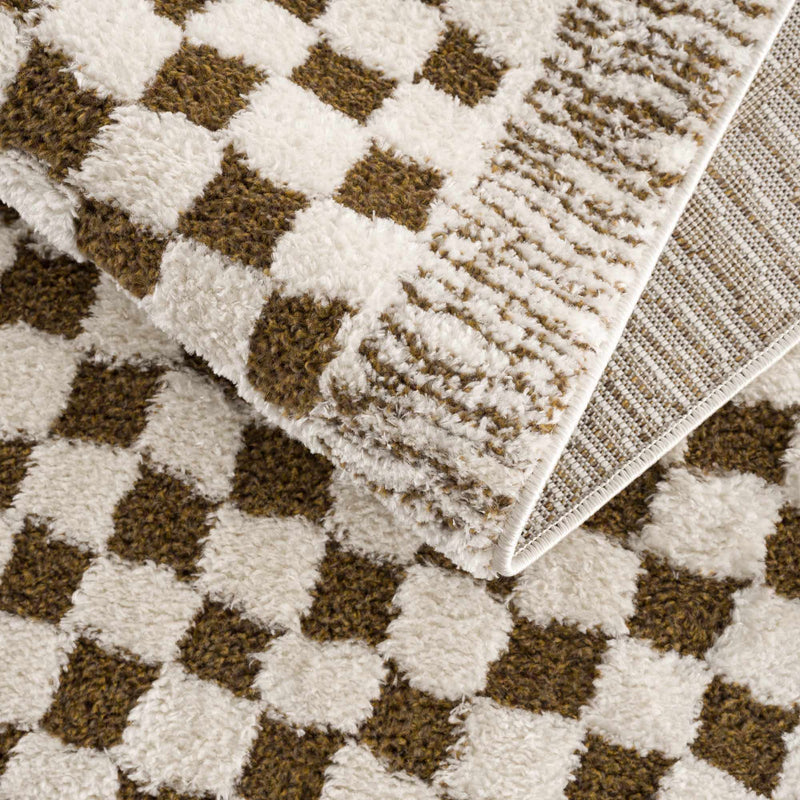 Leryn Brown Checkered Plush Rug