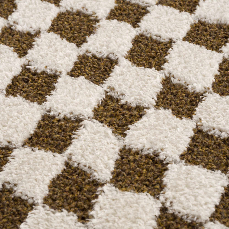 Leryn Brown&White Checkered Rug