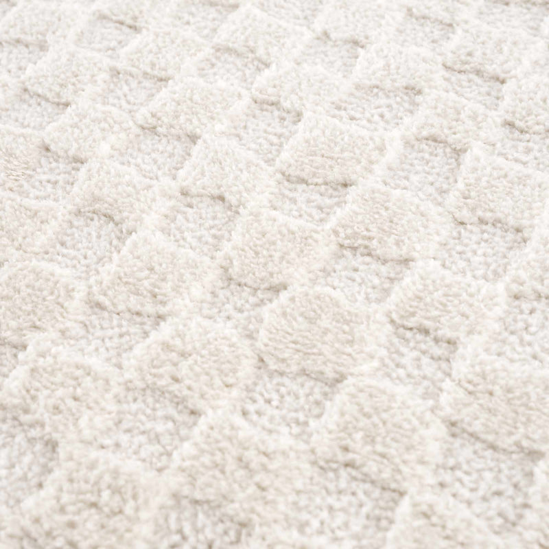 Leryn Ivory Checkered Area Rug