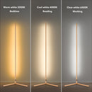 RGBCW Corner Floor Lamp - Golden by EP Designlab LLC