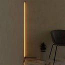 RGBCW Corner Floor Lamp by EP Designlab LLC