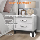 Furniture of America Lucien Modern Wood Nightstand with 2 Drawers