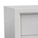 Furniture of America Lucien Modern Wood Nightstand with 2 Drawers