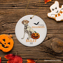Unique Halloween Skeleton Dog Personalized Ornament, Spooky Season Breed Pet Home Decor
