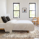 Orizaba Area Rug