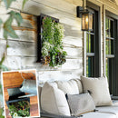 Black Framed Living Wall Planter by Decor Steals