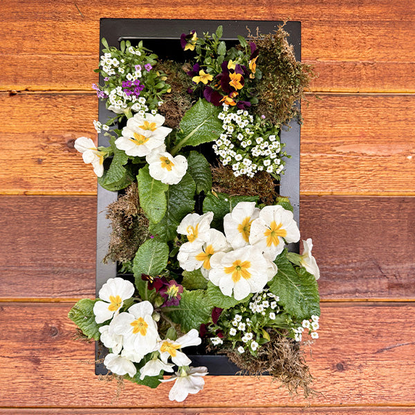 Black Framed Living Wall Planter