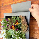 Black Framed Living Wall Planter by Decor Steals