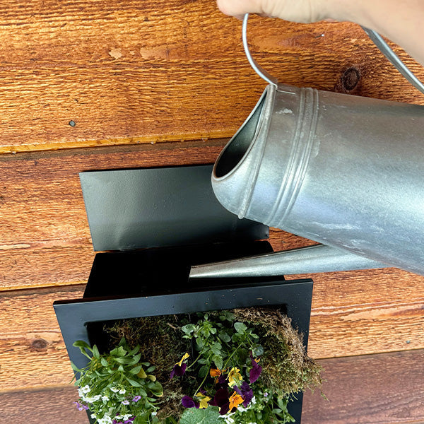 Black Framed Living Wall Planter