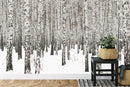White Birch Tree Forest Wallpaper Mural. IQ-1236