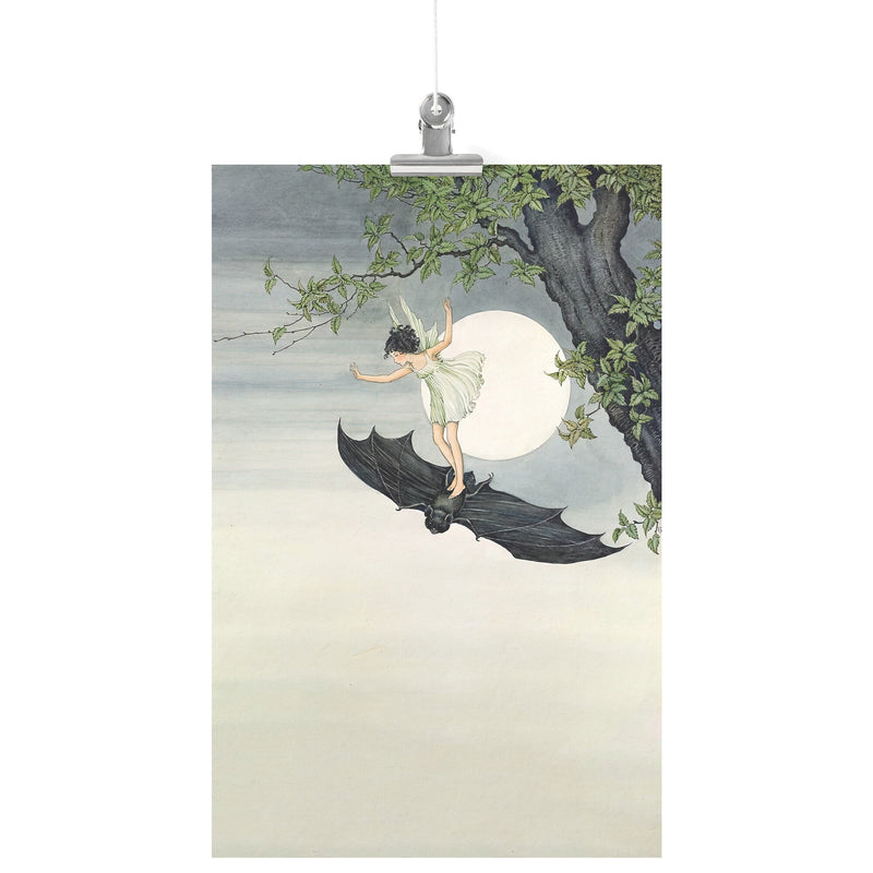 "Fairy Riding a Bat" by Ida Rentoul Outhwaite Matte Poster
