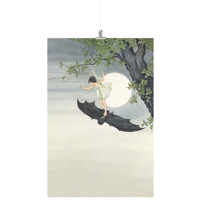"Fairy Riding a Bat" by Ida Rentoul Outhwaite Matte Poster