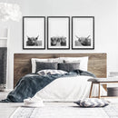 Black White Highland Cow Photo. 3 Piece Wall Art by Wall Art Set