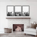 Black White Highland Cow Photo. 3 Piece Wall Art by Wall Art Set