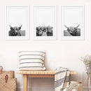 Black White Highland Cow Photo. 3 Piece Wall Art by Wall Art Set