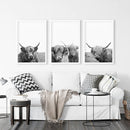 Black White Highland Cow Photo. 3 Piece Wall Art by Wall Art Set