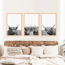 Black White Highland Cow Photo. 3 Piece Wall Art by Wall Art Set