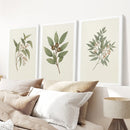 Vintage Neutral Botanical Gallery Wall Print Set by Wall Art Set
