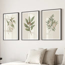 Vintage Neutral Botanical Gallery Wall Print Set by Wall Art Set