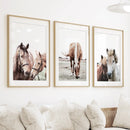 Horses. Modern Farmhouse Prints. Western Set of 3 by Wall Art Set