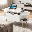 Lift Top Coffee Table with Hidden Compartment and Shelves