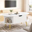 Lift Top Coffee Table with Hidden Compartment and Shelves