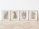 Antique Ferns Set of 4 In French Gray and Green