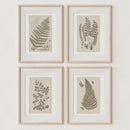 Antique Ferns Set of 4 In French Gray and Green