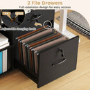 File Cabinet with Lock Mobile Lateral Filing Storage Organizer Modern Rolling Printer Stand by LJGDeals