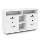 File Cabinet with Lock Mobile Lateral Filing Storage Organizer Modern Rolling Printer Stand by LJGDeals