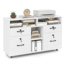 File Cabinet with Lock Mobile Lateral Filing Storage Organizer Modern Rolling Printer Stand