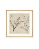 Floral Drawing III