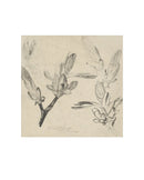 Floral Drawing III