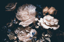 Large Dark Peony Mural Wallpaper