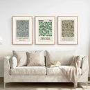 Botanical Neutral Wall Art Home Posters Set by Wall Art Set