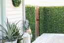Sample Panel – White Flowering Boxwood Green Wall (Small Sample) by Designer Plants USA
