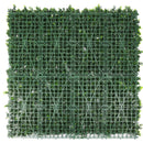 Sample Panel – White Flowering Boxwood Green Wall (Small Sample)