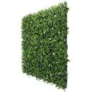 Sample Panel – White Flowering Boxwood Green Wall (Small Sample)